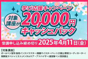 服部幸應の食育インストラクター講座【1万円キャッシュバック】