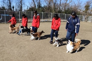 【応援キャンペーン中！！】ペットトレーニング学科講座イメージ