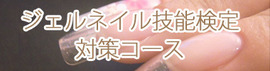 �u���C���[�W�摜
