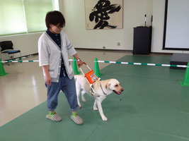 [熊本県]【トリマー＋動物看護】動物病院併設で深い学び☆の講座イメージ