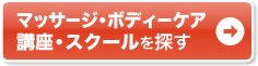 �}�b�T�[�W�E�{�f�B�[�P�A �u���E�X�N�[����T��