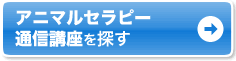�A�j�}���Z���s�[ �ʐM�u����T��
