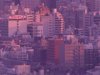不動産鑑定士