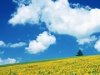 eco検定(環境社会検定試験)
