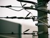 電気工事士