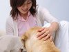 盲導犬訓練士