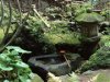俳句・短歌・川柳