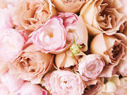 �A�C�X�t�����[�C���[�W