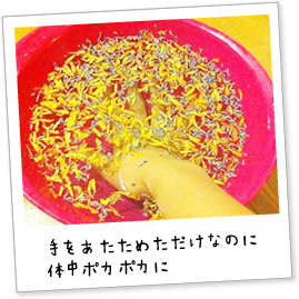 ߂Ȃ̂ɑ̒|J|J