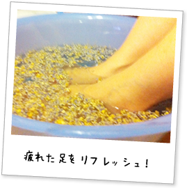 ꂽtbVI