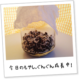 ̂₵B񂮂񐬒I