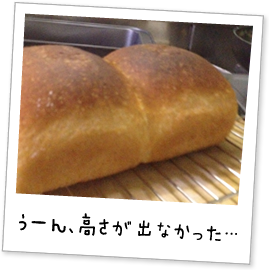 [AoȂ…