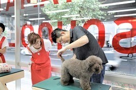 [戸塚駅]集中制ドックビジネス科/トリミングサロン開業！の講座イメージ