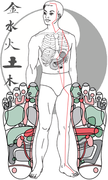 [東京都区内]〈まるで鍼治療！？〉セラピューティックリフレクソロジーの講座イメージ