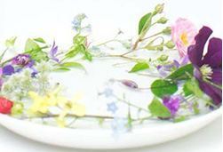 【通信】青木和子の刺しゅうレッスン