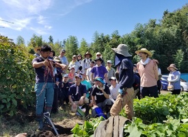 農学部 基礎課程 オンライン農業技術専攻コース