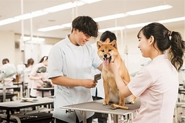[広島県]動物健康美容学科＜4月入学生募集＞の講座イメージ