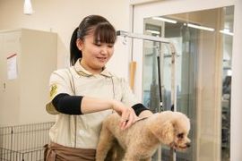 [静岡県]総合動物学科 ペット美容コースの講座イメージ