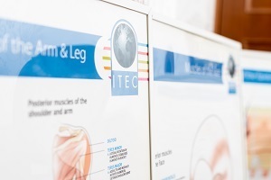 英国ITEC解剖生理学資格取得講座