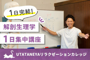 [東梅田駅]《1日講座》セラピストのための解剖生理学講座の講座イメージ