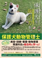 【応援キャンペーン中！！】保護犬動物管理士養成専門講座講座イメージ