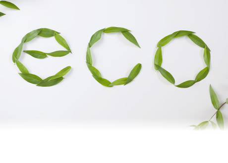 eco検定（環境社会検定試験）
