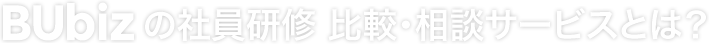 BUbizの社員研修比較・相談サービスとは？