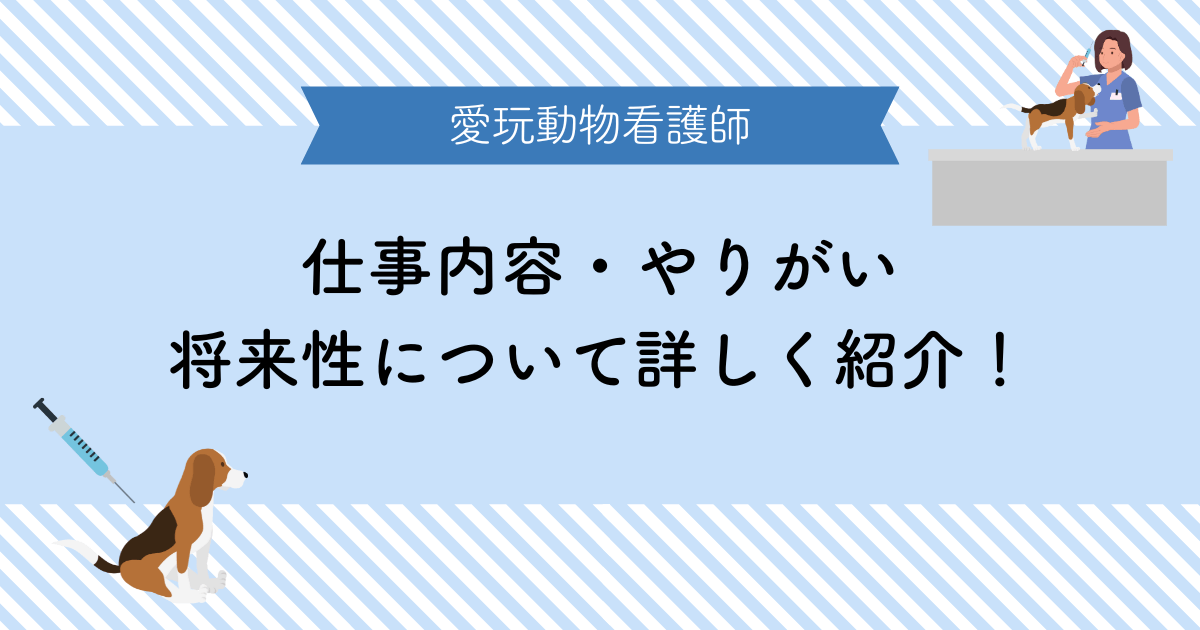 愛玩動物看護師の仕事内容、やりがいや将来性について詳しく解説！