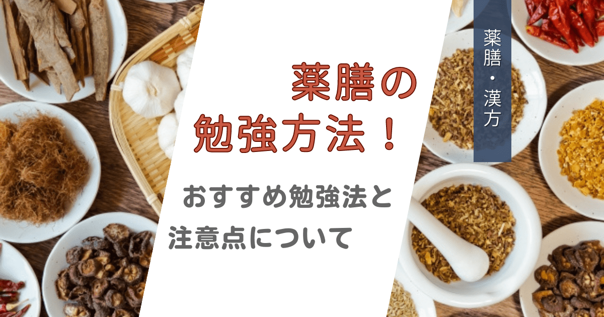 薬膳の勉強方法！おすすめの勉強方法や注意点を紹介します！