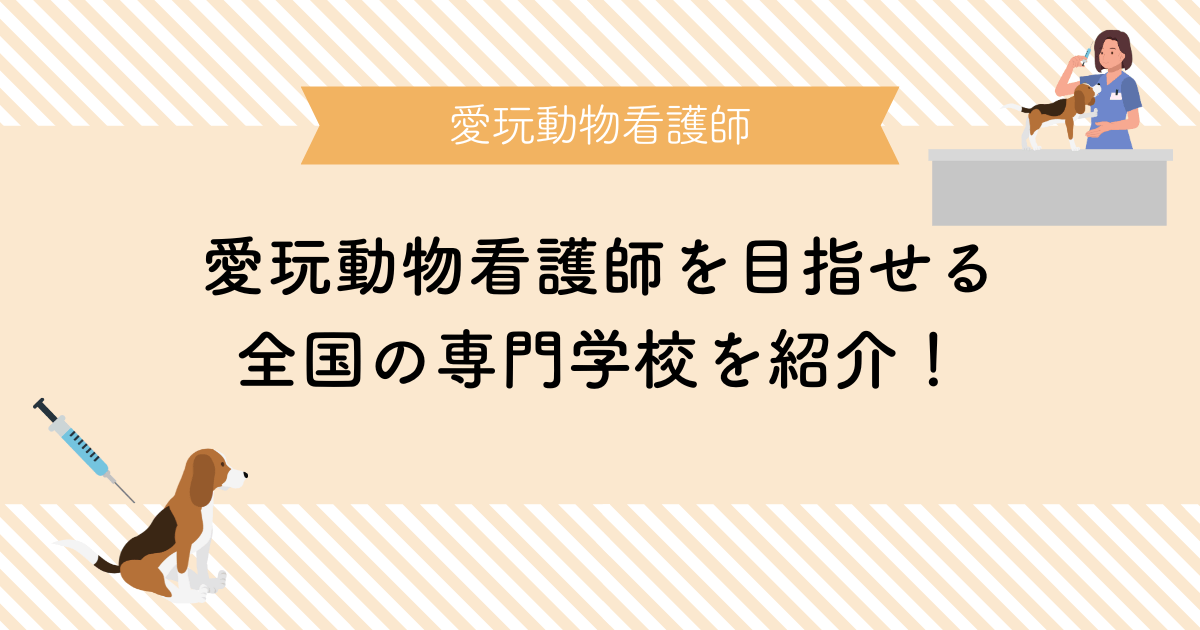 愛玩動物看護師を目指せる全国の専門学校（養成所）を紹介します！