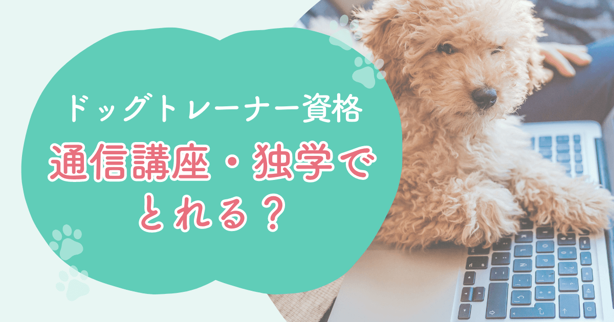 ドッグトレーナーの資格は通信講座や独学で取得可能？費用についても解説します！