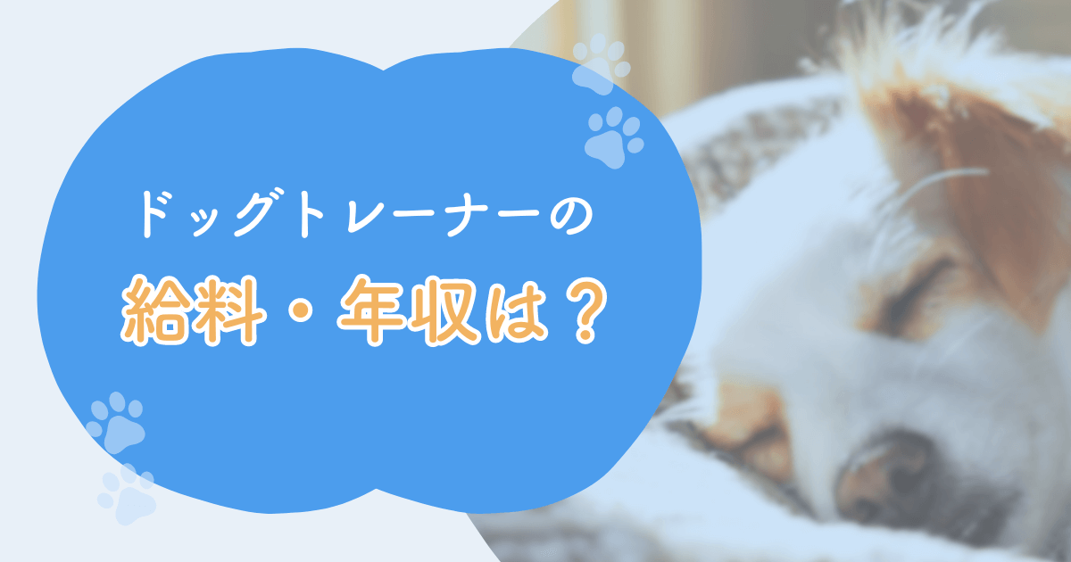 ドッグトレーナーは儲かる？給料や収入についてご紹介します！