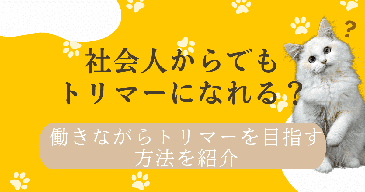 社会人からでもトリマーになれる？働きながらトリマーを目指す方法を紹介