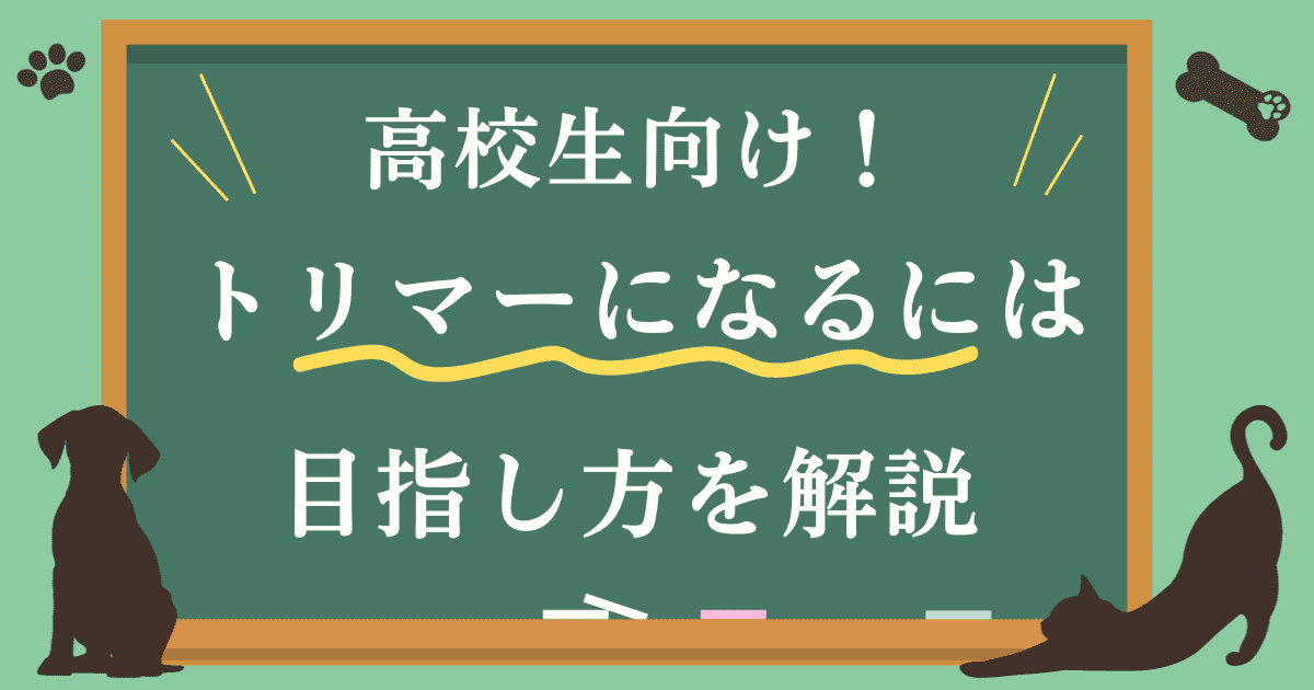 高校生向け！トリマーになるには？目指し方を解説