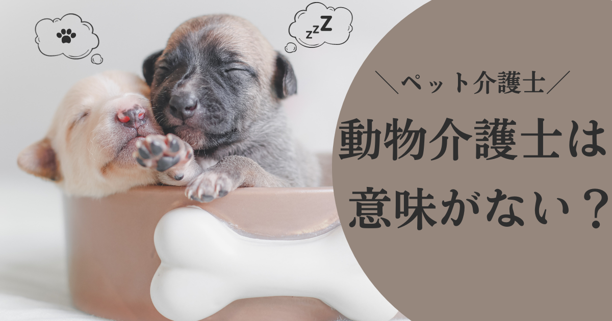 動物介護士（ペット介護士）の資格は意味がない？