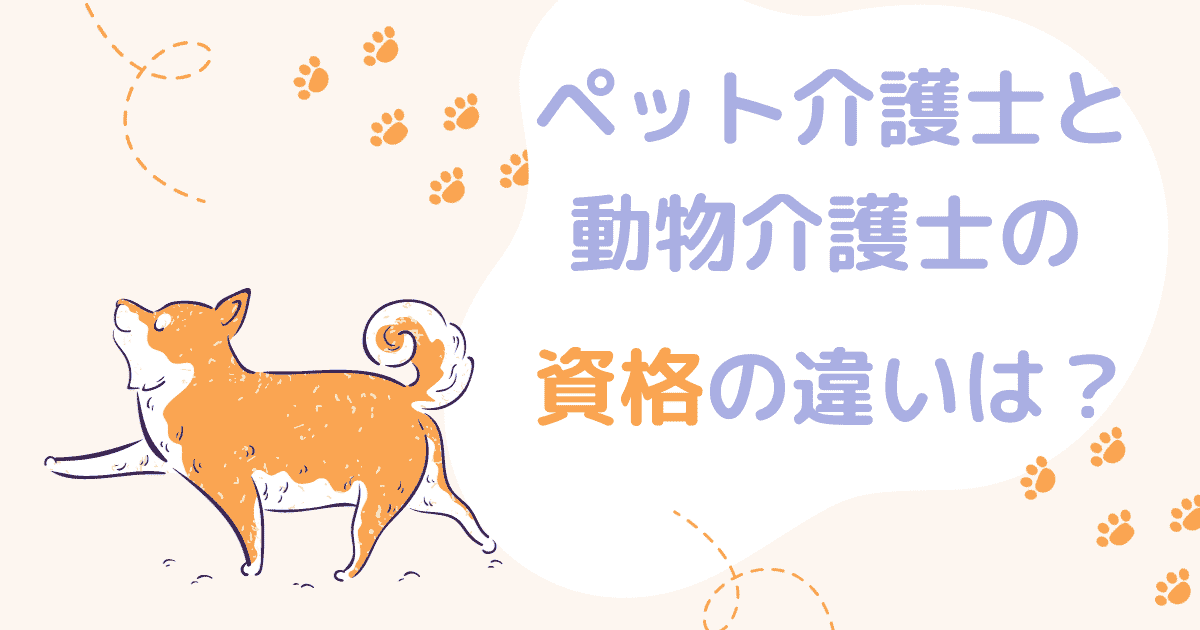 ペット介護士と動物介護士の資格の違いは？通信講座や勉強内容の違いを解説