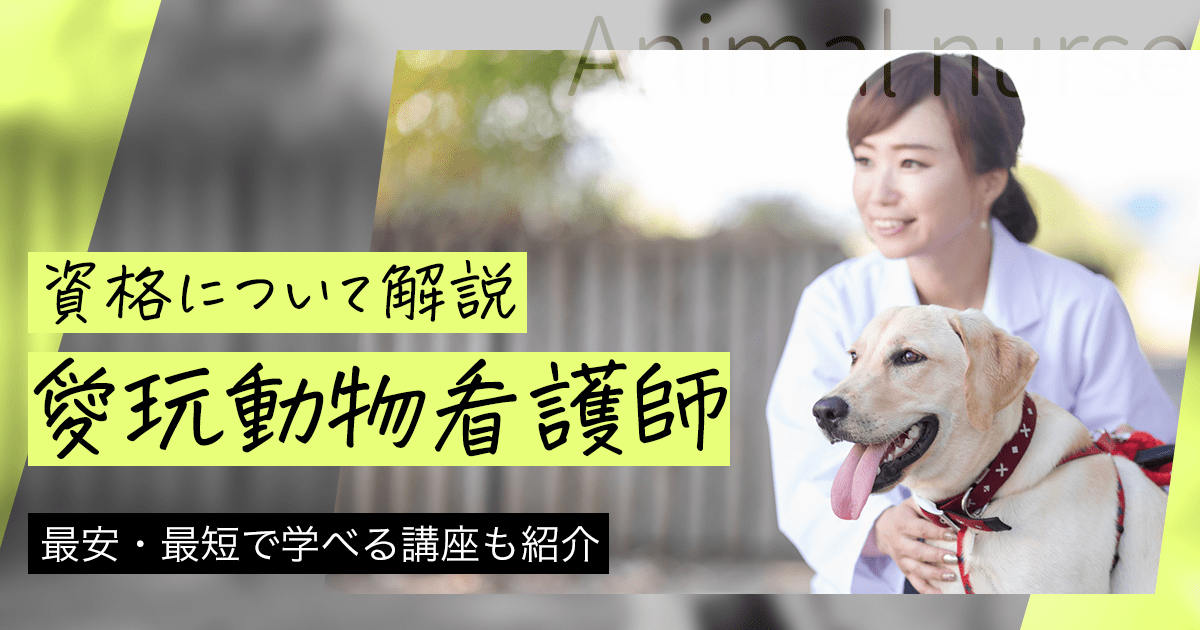 愛玩動物看護師になるには？国家資格の取得方法や試験情報、仕事内容