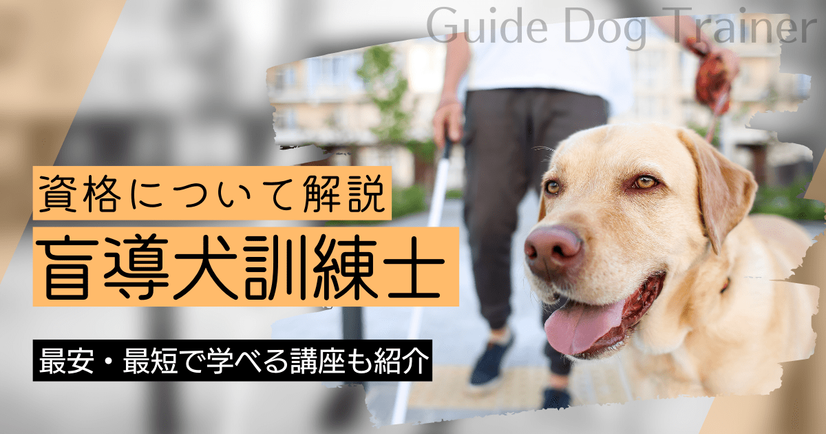 盲導犬訓練士の資格取得｜BrushUP学びイメージ