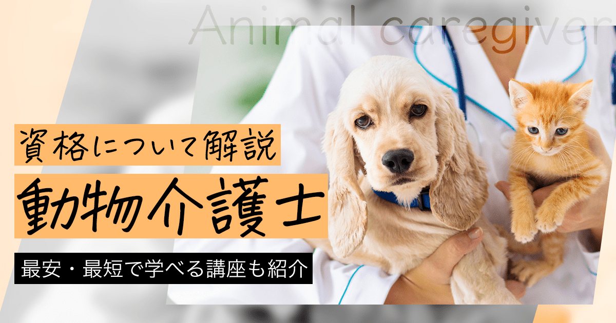 動物介護士（ペット介護士）になるには？国家資格はある？