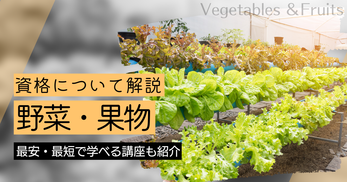 野菜・果物の資格取得