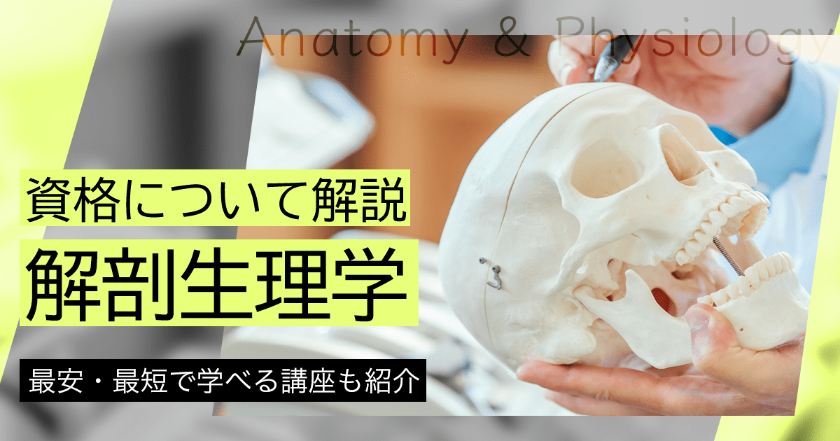 解剖生理学の資格取得
