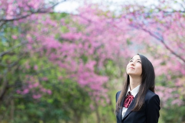 高卒から社会福祉士になる方法とは？のイメージ