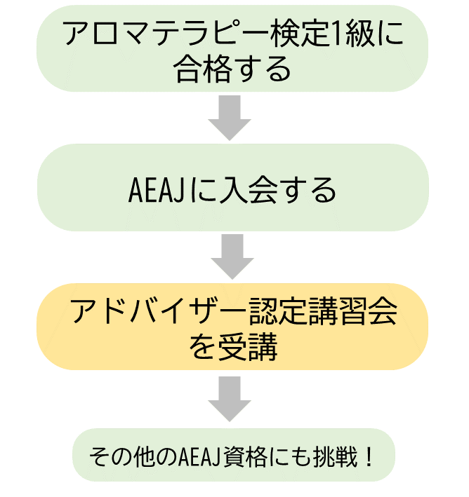 アロマテラピーアドバイザー取得の流れ