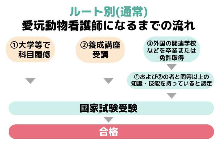 愛玩動物看護師の国家試験を受験するルート(通常)