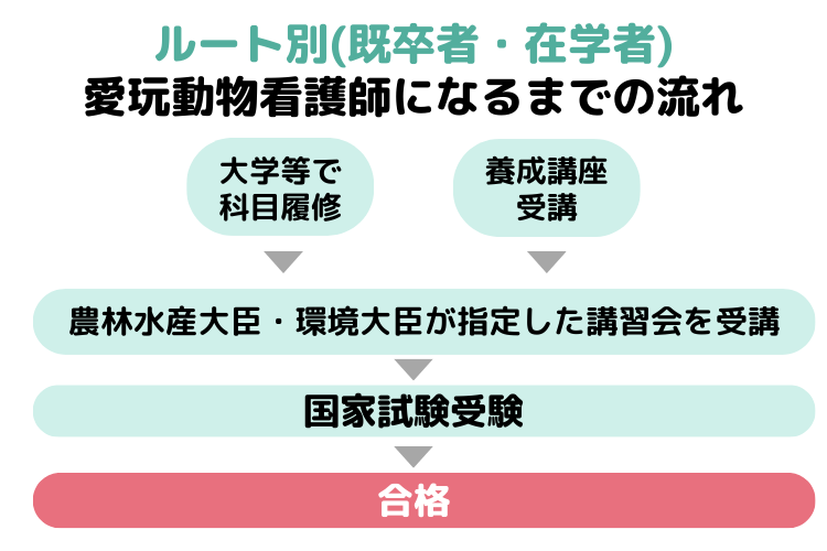 愛玩動物看護師の国家試験を受験するルート(既卒者・在学者)