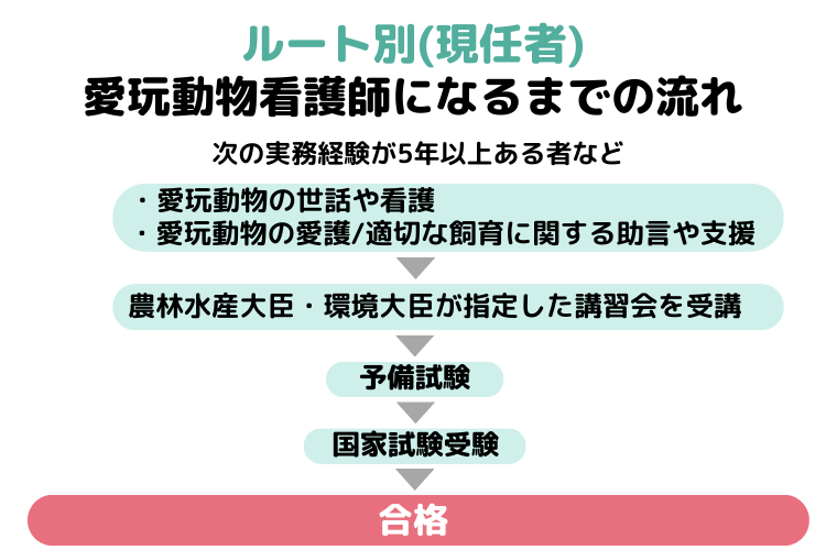 愛玩動物看護師の国家試験を受験するルート(現任者)