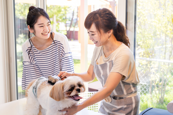 ペット関連資格のイメージ画像