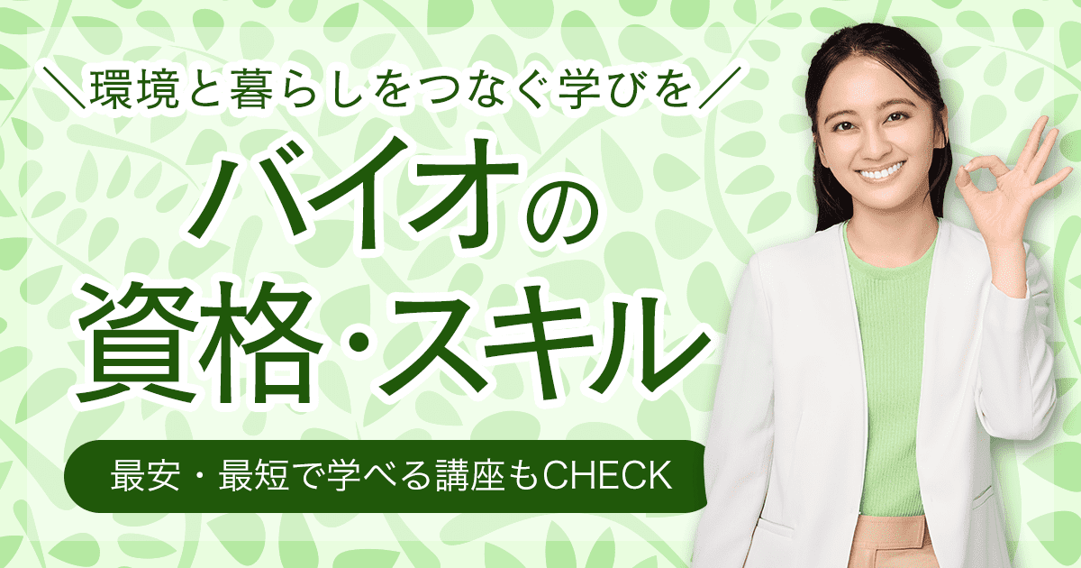 就職・転職に大活躍 事務・パソコンの資格・スキル 最安・最短で学べる講座もCHECK