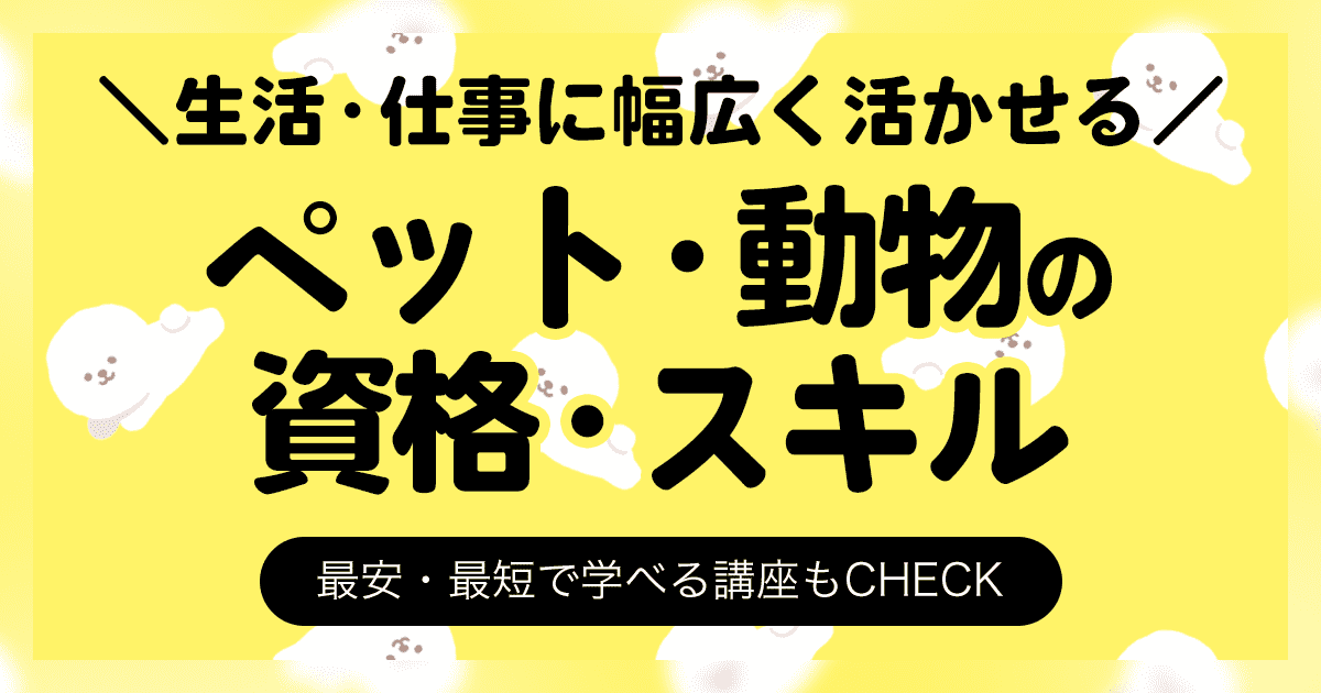 ペット・動物の資格一覧 スキル 最安・最短で学べる講座もCHECK