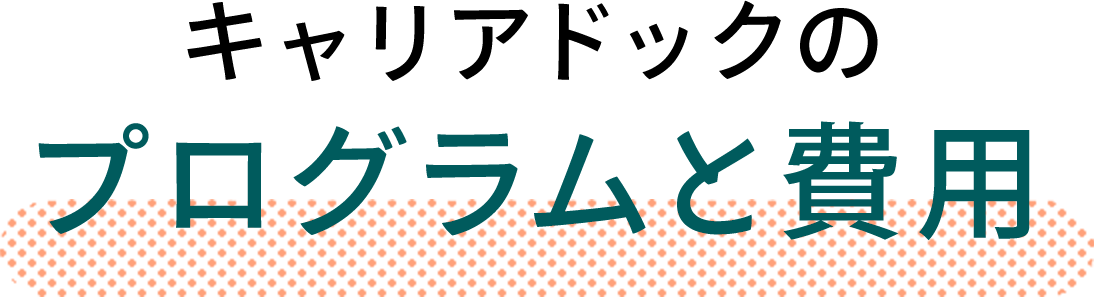 キャリアドックのプログラムと費用